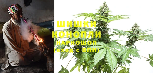 шишки Нефтегорск