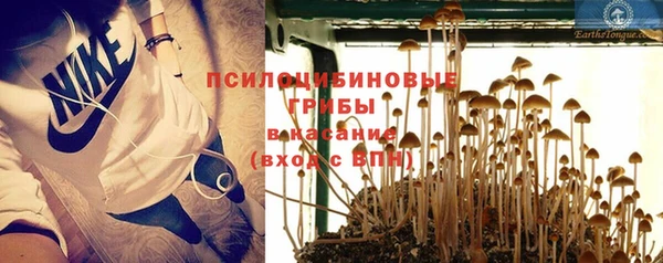 стафф Нея