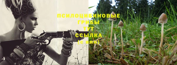 шишки Нефтегорск